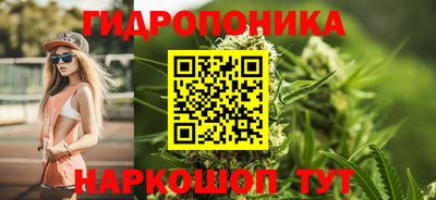 спиды Шелехов