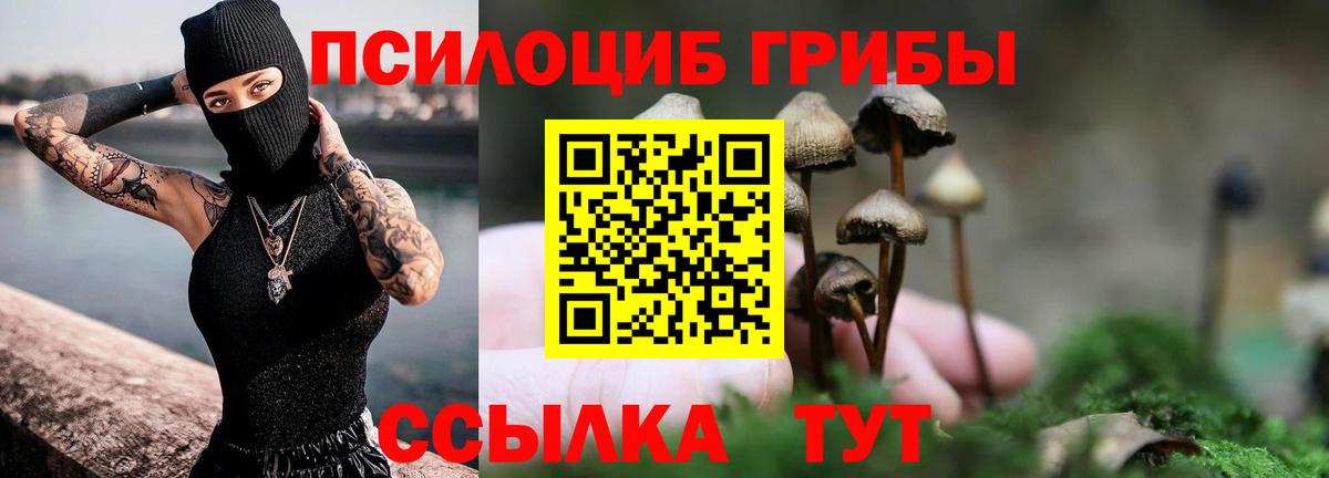 Галлюциногенные грибы мухоморы  Псилоцибиновые грибы Cubensis  Борзя  Вход с VPN 